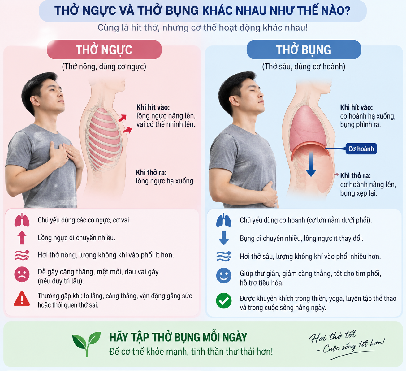 tho-nguc-va-tho-bung
